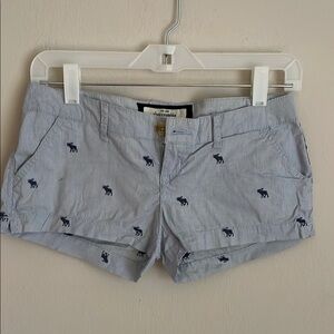 Abercrombie Kids Light Blue Shorts 14